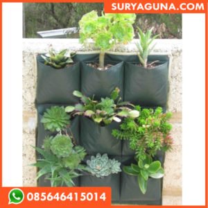 Wall Planter Surya Guna 085646415014